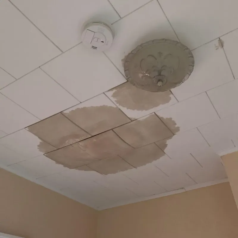 Ceiling Water Damage Repair in Westport, NC