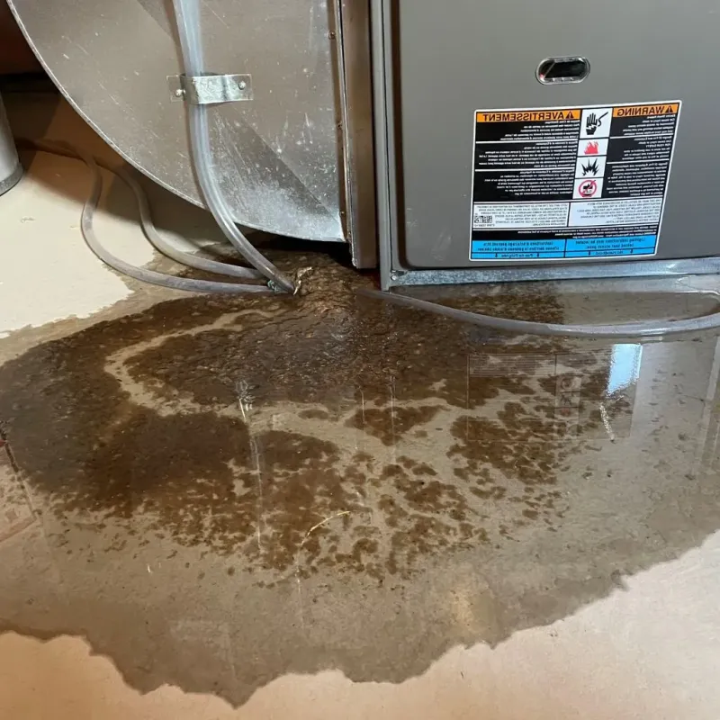 Pipe Burst and Leak Restoration in Westport, NC