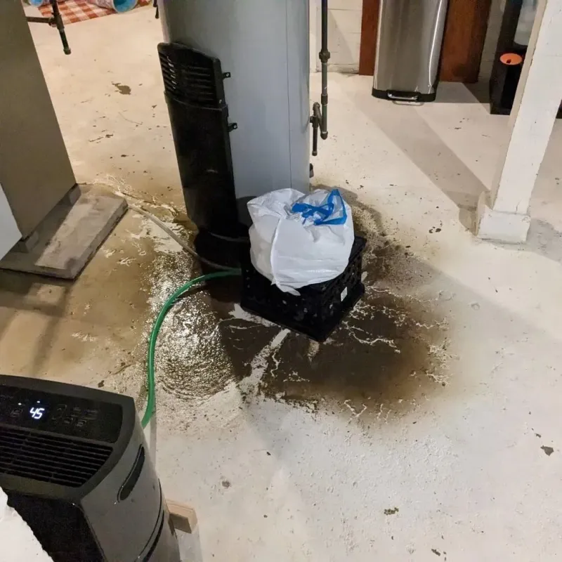 Sewage Backup Cleanup Service in Westport, NC